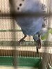 IMG_8401.jpeg