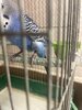 IMG_8400.jpeg