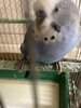 IMG_8417.jpeg