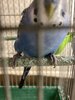 IMG_8418.jpeg
