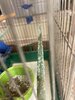 IMG_8416.jpeg