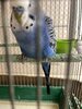IMG_8423.jpeg