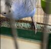 IMG_8430.jpeg