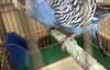 IMG_8429.jpeg