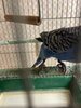 IMG_8428.jpeg