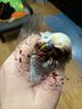 IMG_9149.jpeg