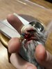 IMG_8922.jpeg