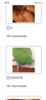 IMG_8461.png