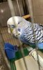 IMG_8495.jpeg