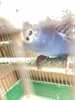 IMG_8509.jpeg