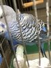 IMG_8508.jpeg