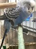 IMG_8511.jpeg