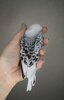DSC_1738.JPG
