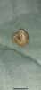 273AB04C-11F6-4AF3-85EA-24E3D724A7A4.png