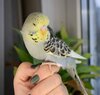 DSC_2256.JPG