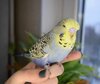 DSC_2264.JPG