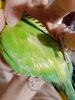 20231210_111925.jpg