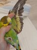 20231210_115714.jpg