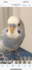 D8FE3564-3F14-40A5-BB81-DBED3F5B1F7D.png