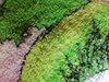 17026439398242558499874574131154.jpg