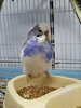 IMG_6579.jpeg