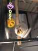 IMG_9891.jpeg