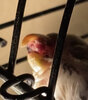 IMG_9918.jpeg