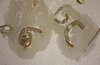 IMG_20240119_201611.jpg