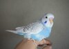 DSC_2921.JPG