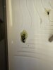 IMG_1481.jpeg