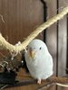 IMG_4505.jpeg