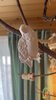 IMG_8891.jpeg