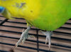 PSX_20240331_135443.jpg