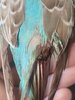 IMG_8887.jpeg