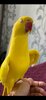 IMG_0989.jpeg