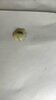 IMG-20240426-WA0004.jpg