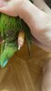 71BE957E-2E8D-4352-8A48-A1565E605755.jpeg