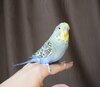 DSC_4751.JPG