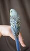 DSC_4737.JPG