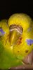Screenshot_20240610-162434.jpg