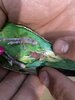 IMG_0301.jpeg