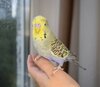 DSC_4765.JPG