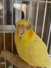 IMG_7425.jpeg
