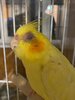 IMG_7426.jpeg