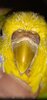 Screenshot_20240725-010439.jpg