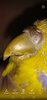 Screenshot_20240725-010504.jpg