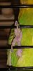 Screenshot_20240725-010514.jpg