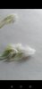 Screenshot_20241004-163202.jpg