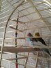 IMG_20241017_095934_665.jpg