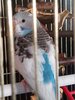 IMG_20241006_171610_063.jpg